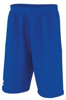 Errea Basketball Shorts Dalles 3.0 blau