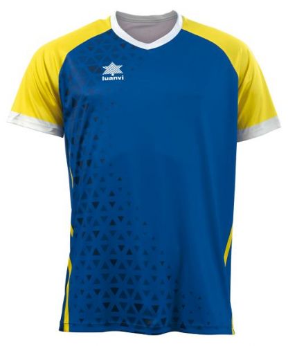 Luanvi Trikot Cardiff blau-gelb