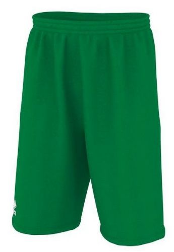 Errea Basketball Shorts Dallas 3.0 grün