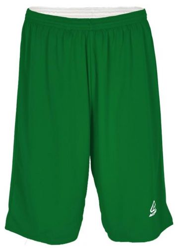 Acerbis Basketball Wendeshort Phil grün-weiß